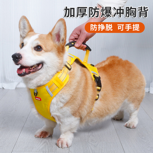 狗狗牵引绳可调节背心式宠物胸背带柴犬柯基中小型犬防爆冲遛狗绳