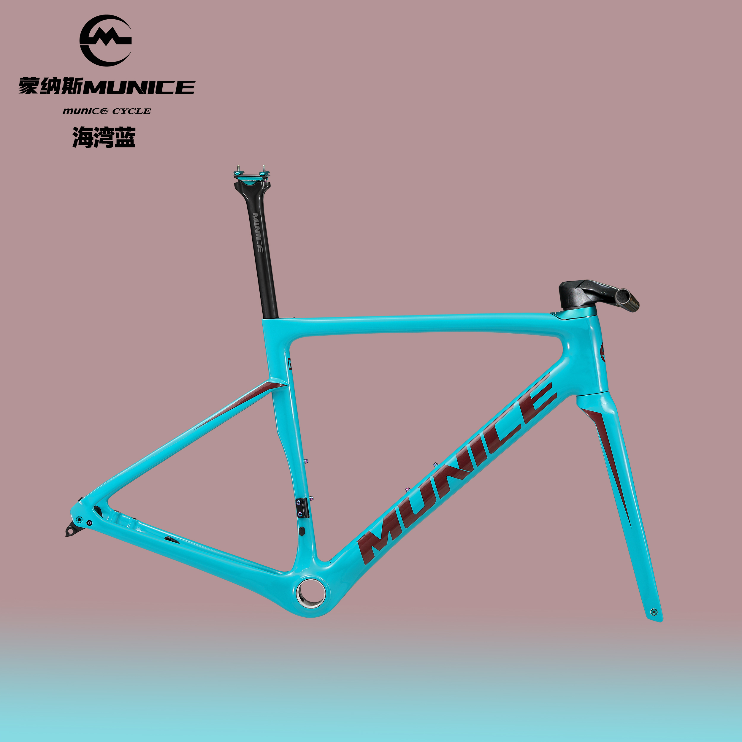 蒙纳斯minice munice R2PB碳纤维公路车架超轻平把公路成人公路架