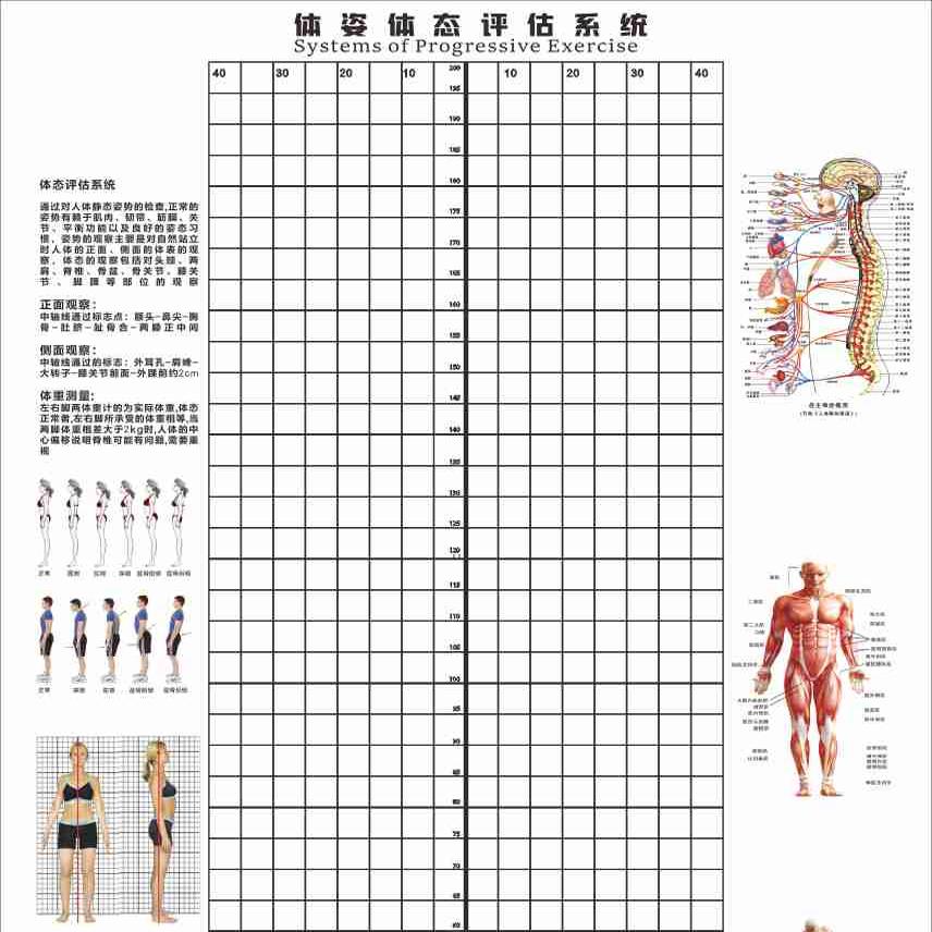 体姿体态评估系统表健身房瑜伽馆专业专用PSD格式源文件