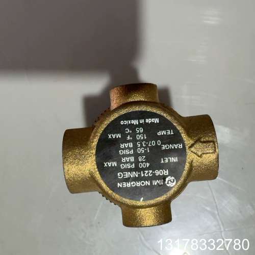 R06-221-RNAG诺冠调压阀