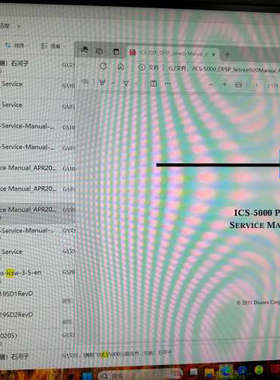 赛默飞 ics-5000 pump  1000/1500/2