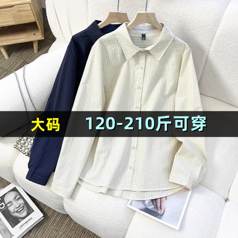 大码纯棉POLO领条纹长袖衬衫女