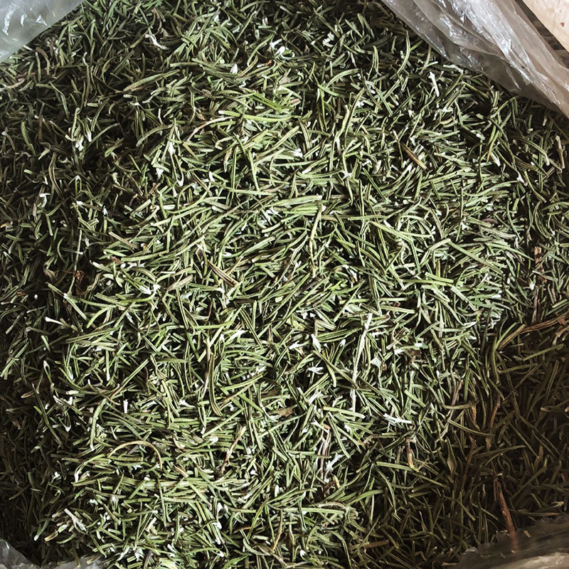 国产特级迷迭香花茶级500g 迷迭香茶叶 香料调料正己干货大全