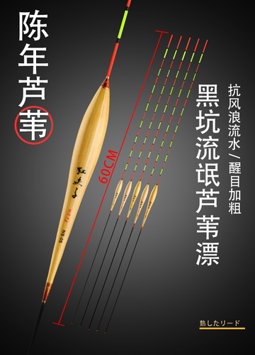 陈年带壳芦苇浮漂高灵敏黑坑