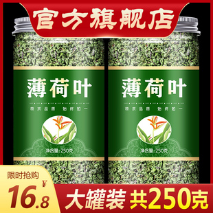 簿何叶溥荷叶颗粒 薄荷叶茶博荷叶干新鲜食用清凉男女泡水泡茶喝