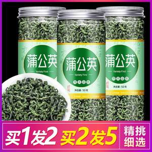 野生纯鲜蒲公英叶茶正品