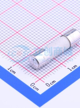 一次性保险丝 0216.500MXP D5xL20mm Littelfuse(进口力特) 原装