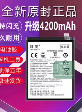 旺度适用于一加6T电池原装1+7正品OnePlus扩大容量BLP685手机电板