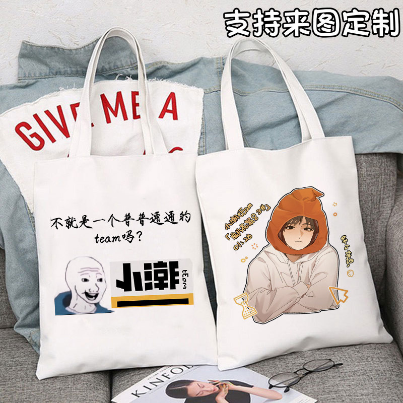 原创小众小潮team手提帆布包小潮院长周边学生通勤外出单肩环保袋