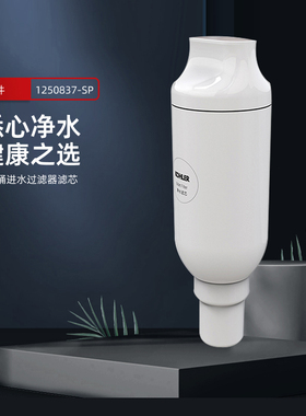 科勒配件智能马桶过滤器1250837-SP家用坐便器马桶进水过滤器滤芯