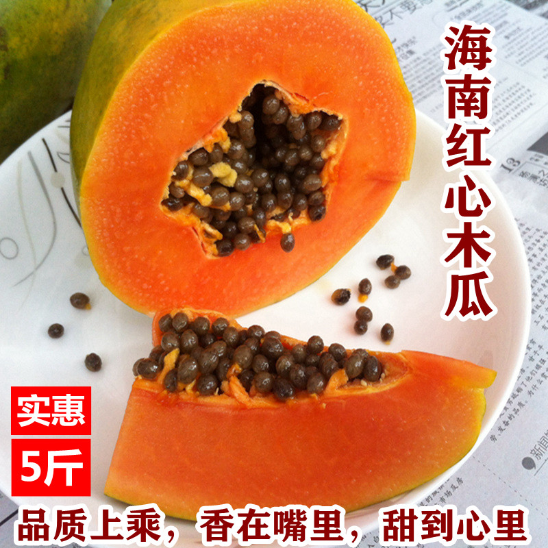 海南红心木瓜新鲜水果树上香甜
