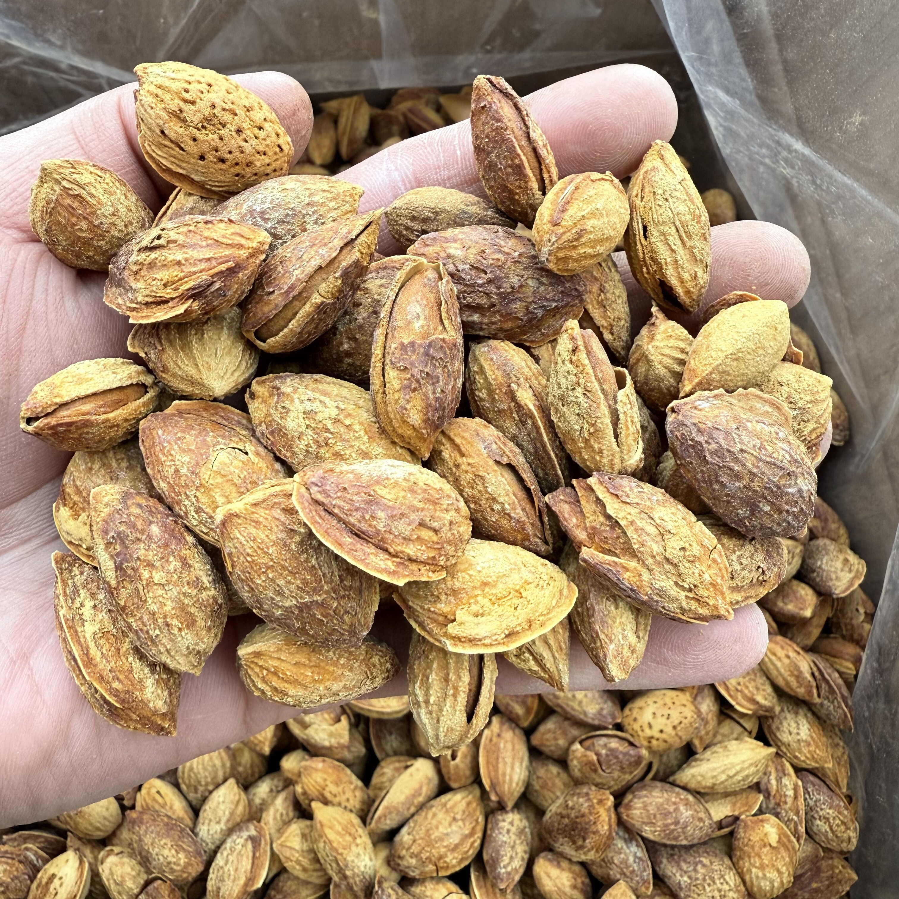 薄壳巴旦木手剥盐焗带皮巴旦木