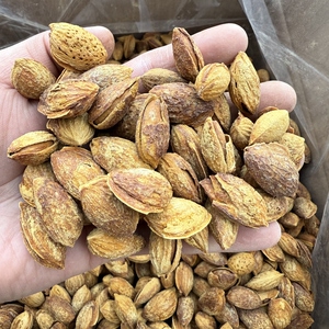 薄壳巴旦木手剥盐焗带皮巴旦木