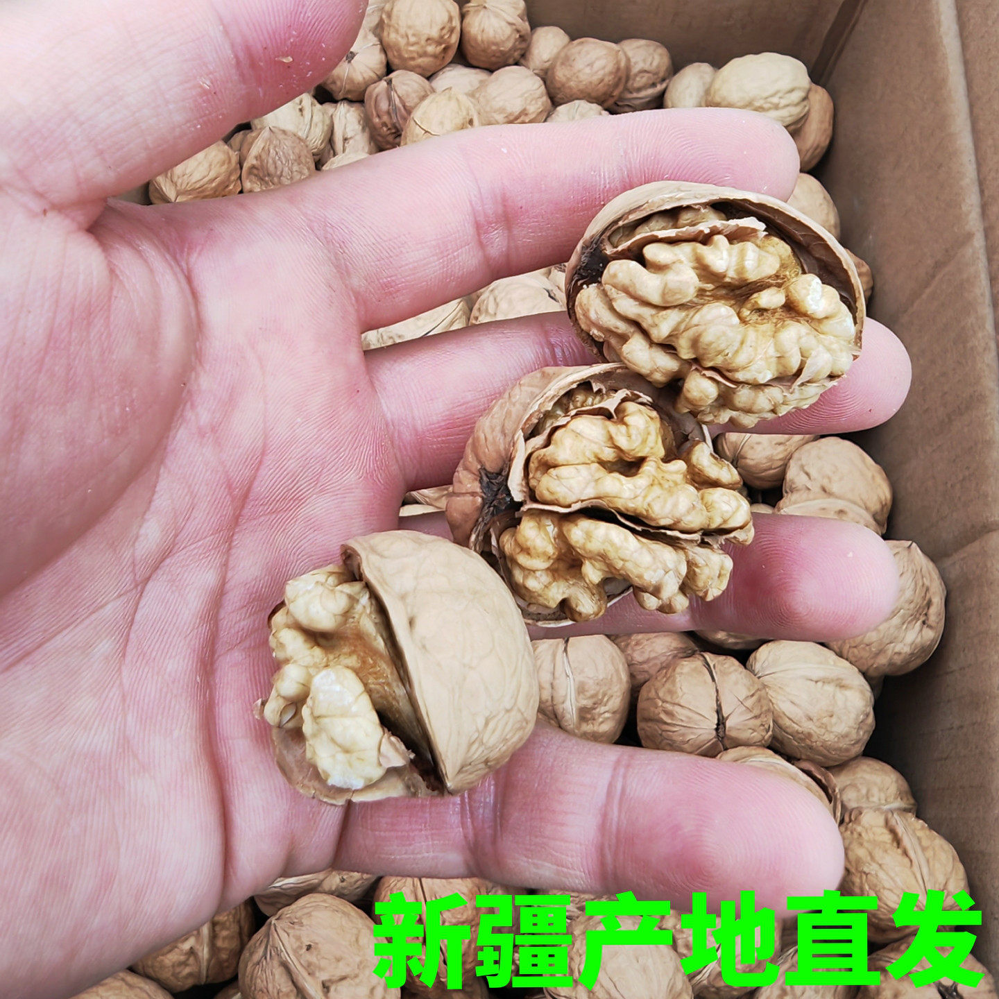 2斤新疆纸皮核桃薄皮核桃老树核桃无漂白核桃无水洗核桃185核桃