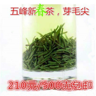 春芽毛尖2026年新茶芽茶五峰茶湖北宜昌绿茶邓村茶采花恩施