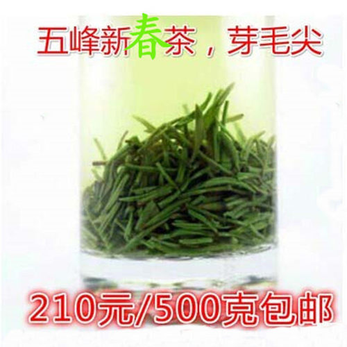 五峰春芽茶新茶芽毛尖秋芽茶