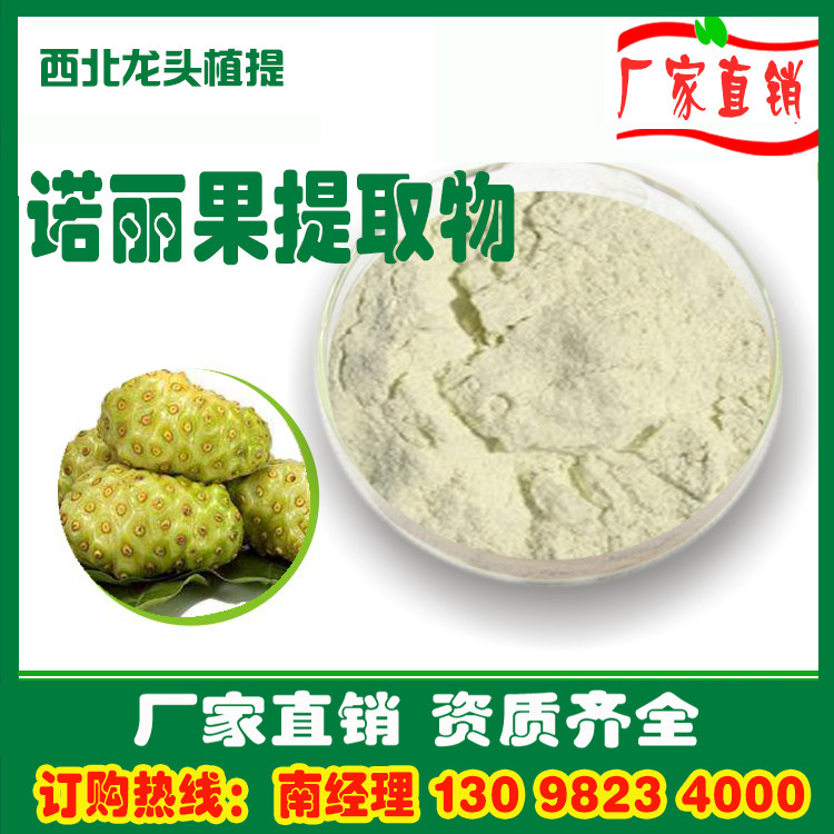 诺丽果提取物粉10:1诺丽果粉