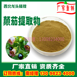 颠茄提取物10:1颠茄粉颠茄浸膏粉水溶粉厂家直销1KG