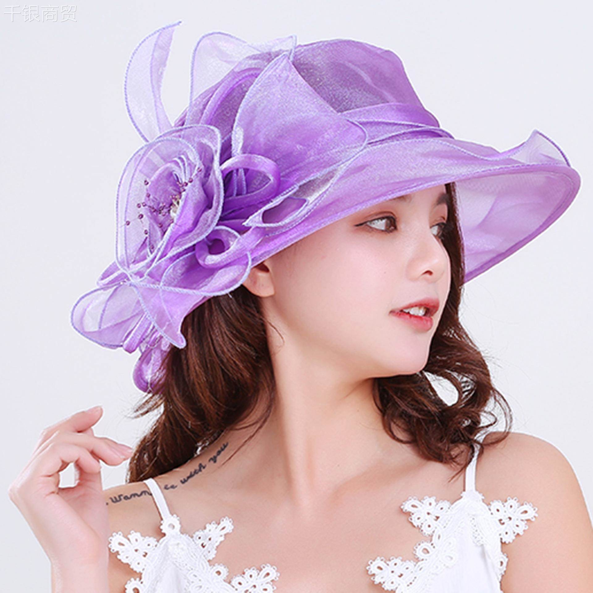 帽春家夏季礼帽女厂花朵欧根帽纱RWM网帽遮阳帽沙滩纱防晒太阳帽