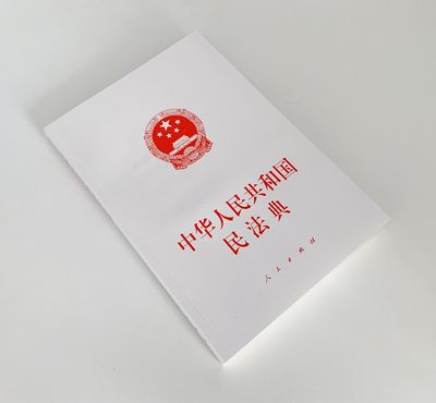 中华人民共和国民法典（小字本） 人民出版社 民法典2020年版 民法 民法典2020 物权编 合同编 人格权编 婚姻家庭编 继承编