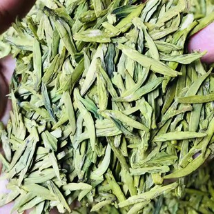 68折清仓 高山明前龙井杭州钱塘龙井绿茶 嫩芽香气好 现货 250克