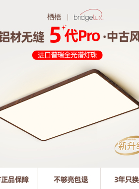 中古风客厅主灯吸顶灯全屋灯简约木纹色卧室灯全光谱护眼LED灯具
