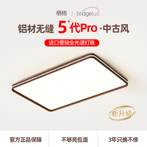 中古风铝材长方形客厅吸顶灯