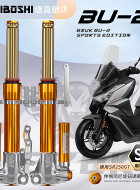 巴祖卡BU2前避震适用无极SR250GT/pro/Play专车专用款阻尼避震器