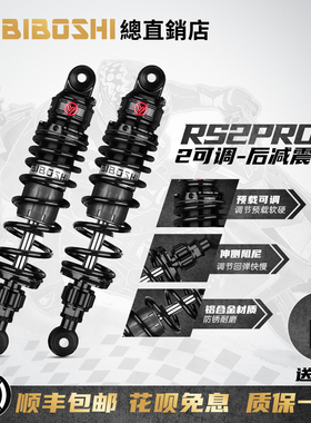 比博士后减震RS2 pro适用AE8九号F2z FXT MZMIX机械师二小牛避震