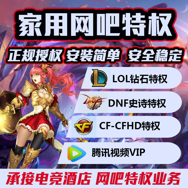 LOL钻石特权DNF传说史诗网吧特权全英雄全皮肤疲劳药CFHD高级枪王