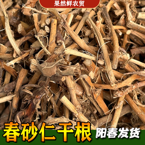 春砂仁干根春砂仁根干货