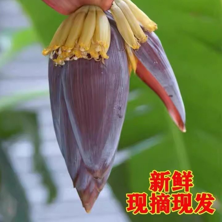 广西新鲜采摘野生芭蕉花香蕉花食用绿色蔬菜及时取夏天氧化黑慎拍,水产肉类/新鲜蔬果/熟食,其它,淘宝优惠券,粉丝福利购,淘宝优惠卷