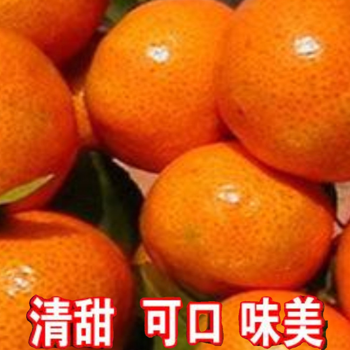 广西新鲜采摘砂糖橘蜜桔当季花皮果价格实惠不打蜡自然熟小桔子,水产肉类/新鲜蔬果/熟食,桔子,淘宝优惠券,粉丝福利购,淘宝优惠卷