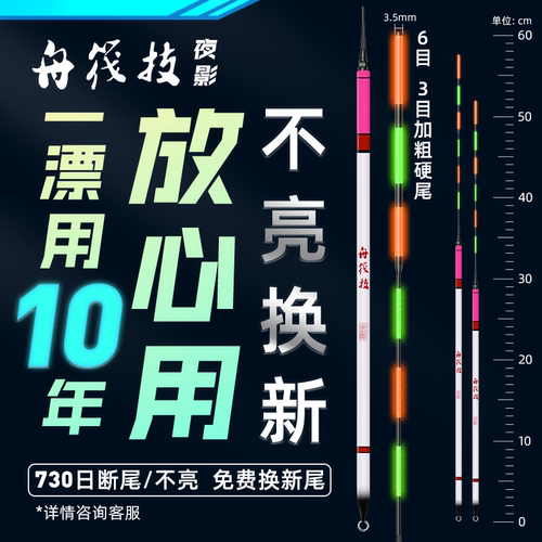 矶工坊电子夜光立漂发光浮漂海钓