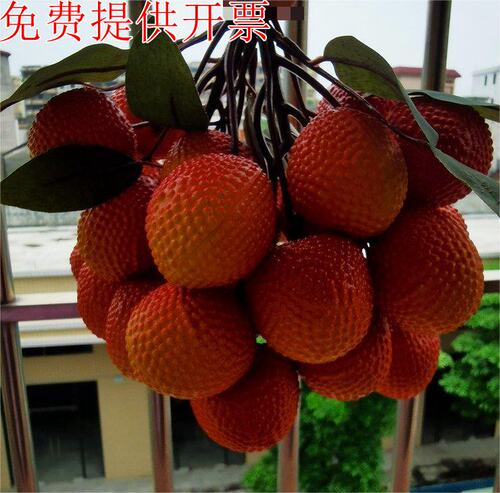 仿真荔枝模型假龙眼水果装饰摆件