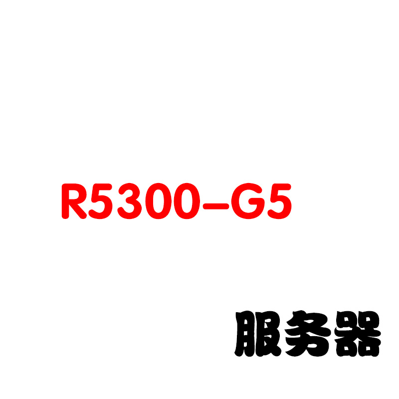 服务器R5300-G5可定制