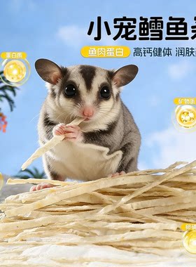 蜜袋鼯零食鳕鱼条金丝熊花枝鼠松鼠仓鼠粮食饲料小宠用品宠物食物
