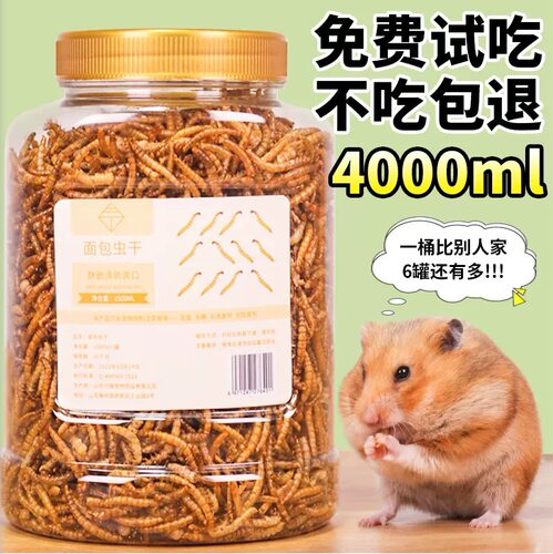仓鼠吃的虫子蜜袋鼯小宠零食金丝熊面包虫干黄粉虫饲料营养粮冻干