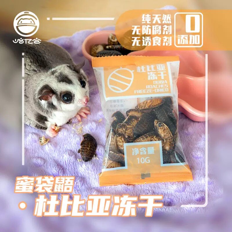 蜜袋鼯零食冻干杜比亚干蟑螂松鼠仓鼠花枝鼠高蛋白增肥蜜袋鼠虫