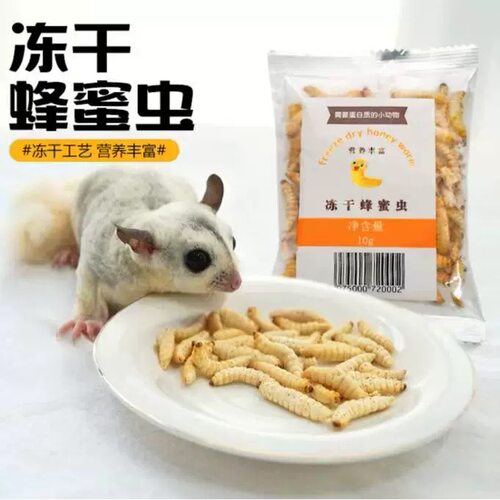蜜袋鼯零食仓鼠金丝熊粮食冻干玉米虫蜂蜜虫宠物上手互动食物增肥