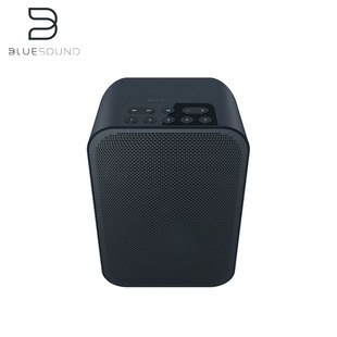 FLEX 智能无线蓝牙音响客厅桌面箱支持ROON PULSE BLUESOUND