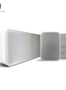 【新款】BLUESOUND SOUNDBAR/FLEX智能回音壁5.1家庭影院
