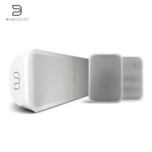【新款】BLUESOUND SOUNDBAR/FLEX智能回音壁5.1家庭影院