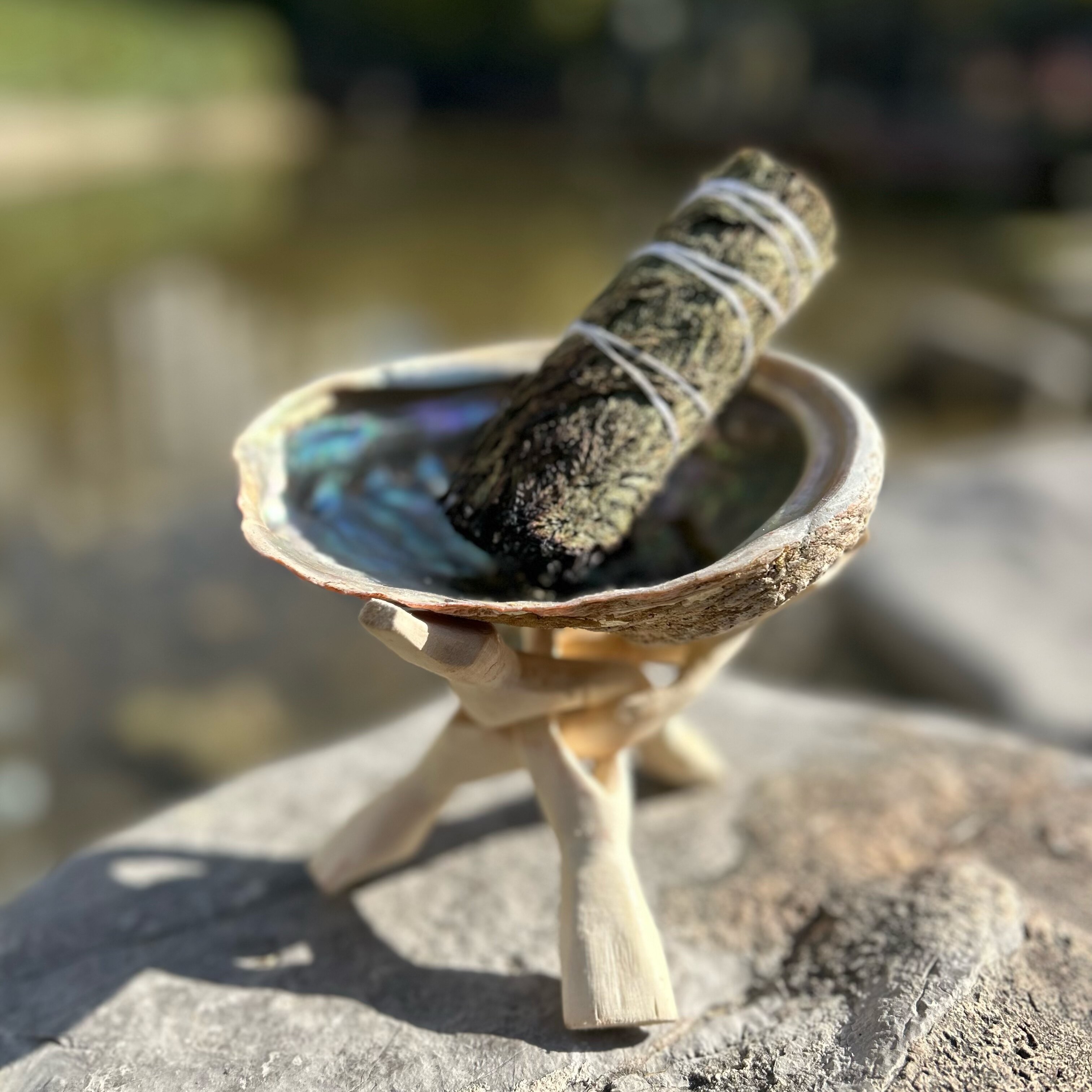 【微瑕】鲍鱼壳支架圣木架实木支架加州白鼠尾草贝壳支架器皿烧盘图片
