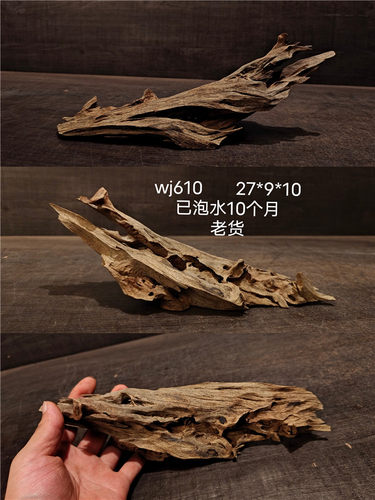 精品10-40cm马来西亚流木小米缸