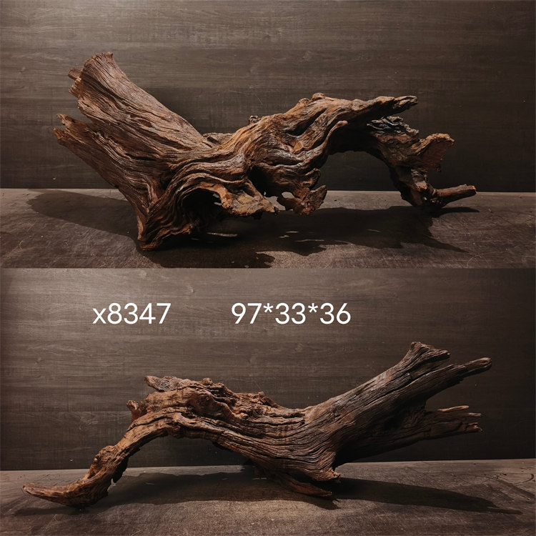 紫柚沉木70-100cm粗壮霸气类型