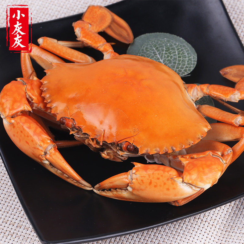 三门青蟹特产肥美海蟹处子蟹肉蟹鲜活水产螃蟹母蟹海鲜礼盒包邮