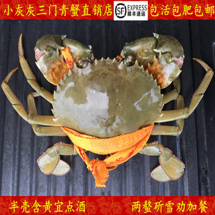 三门青蟹特大螃蟹海鲜水产海蟹菜鲟青蟹肉蟹大公蟹7至8两自家养殖