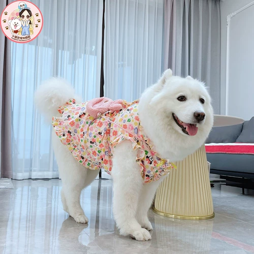 Рюкзак для влюбленных, юбка, жилет подходит для мужчин и женщин, подходит для подростков