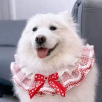 [Маленький хвост питомец] Середина собака Big Dog Big Dog Big Dog Samo Huskic золотые волосы милые торт сетчатой ​​прядь нагрудники